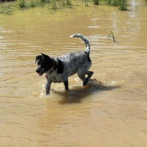 Meet your Posher, Terry